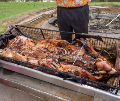 Kalua Pig Not only for luau