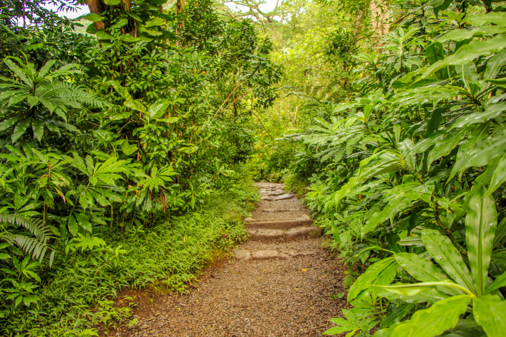 3 Oahu Hikes You Shouldn't Miss (They're Beginner-Friendly Too)