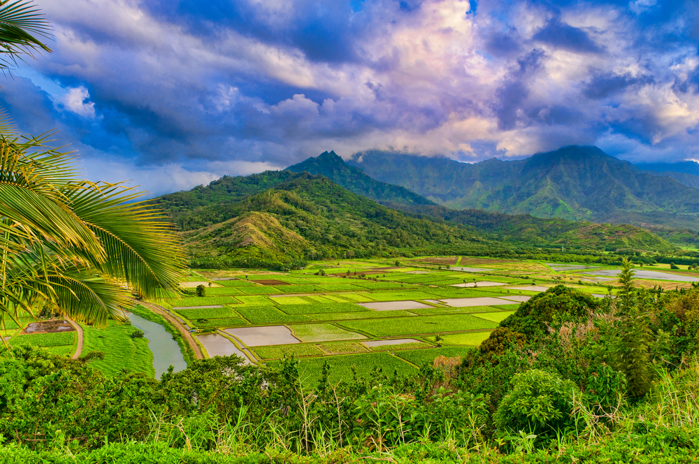 Let's Explore the All-Inclusive Oahu Two Island Vacation