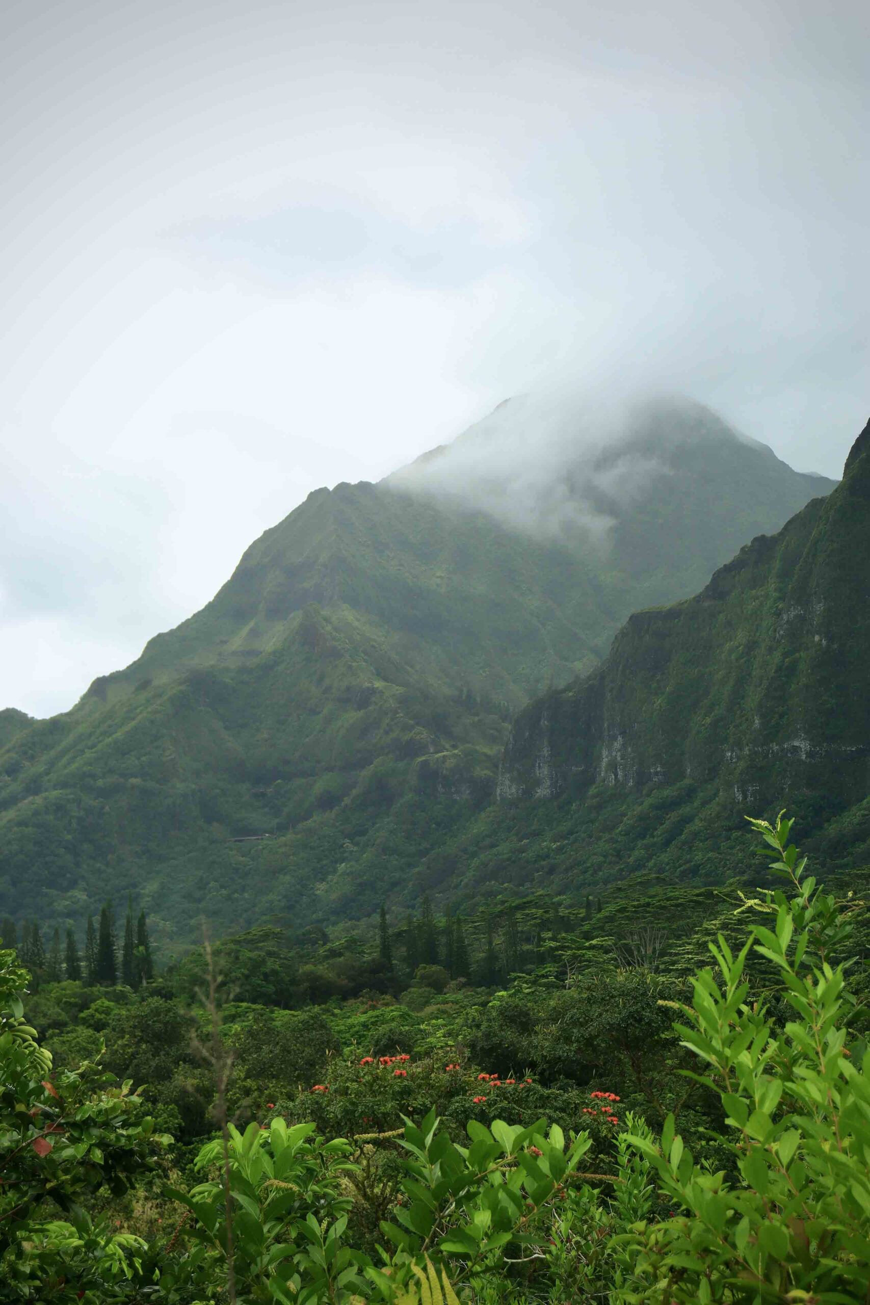 Ho‘omaluhia Botanical Gardens