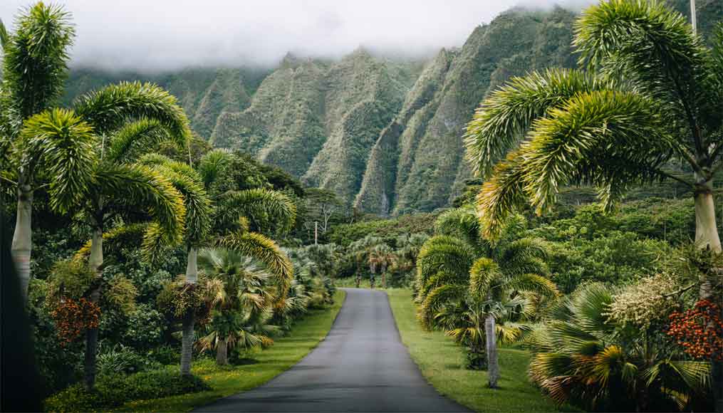 Ho‘omaluhia Botanical Gardens