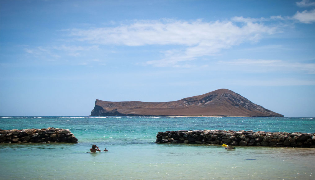 Robins Nest Hawaii