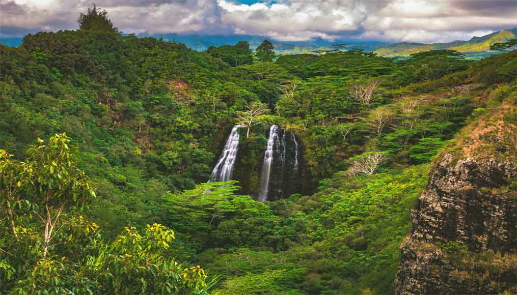 Discovering the best waterfalls on Kauai