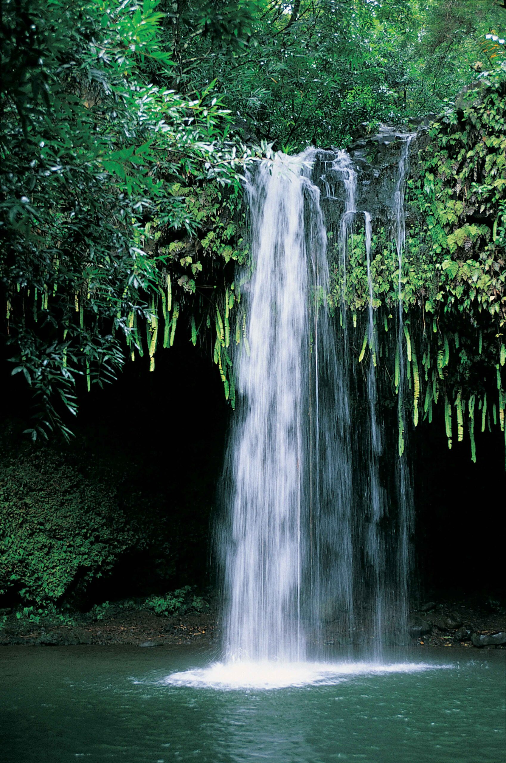 Your Waterfall Wonderland